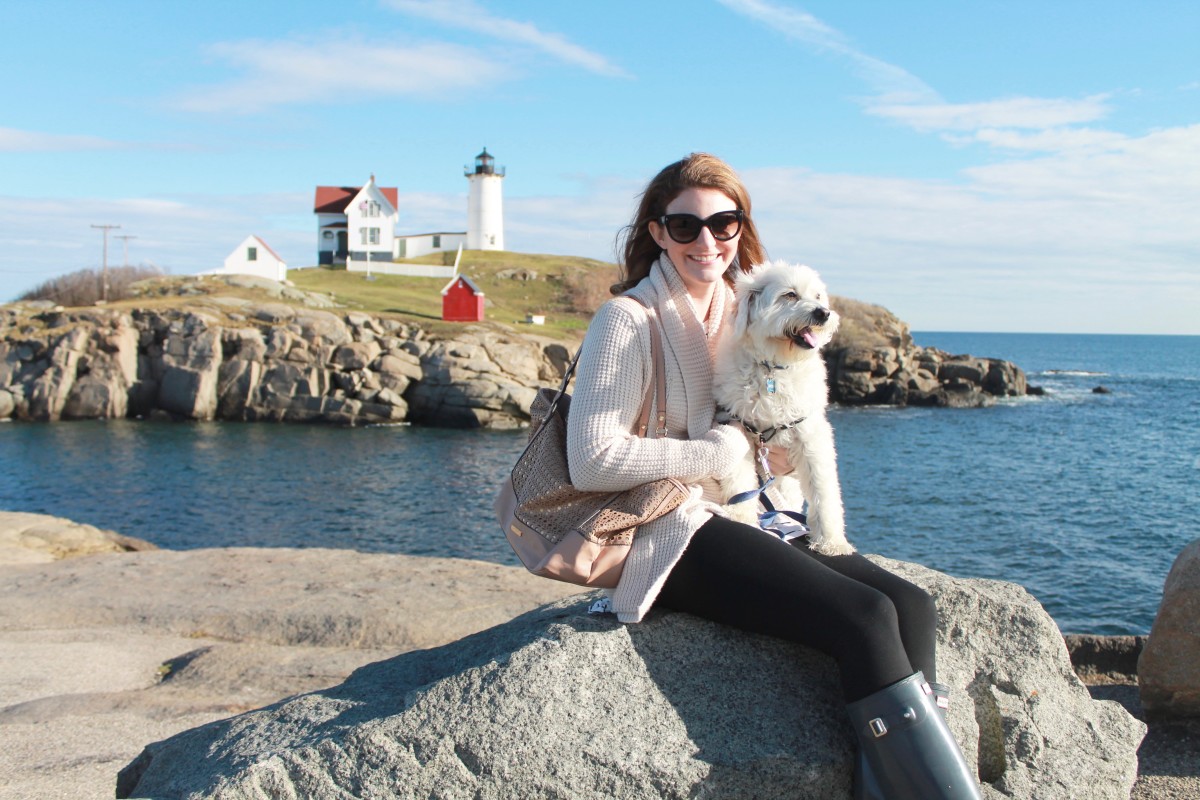 Pet Friendly Day Trip to Maine - Feathers and Stripes