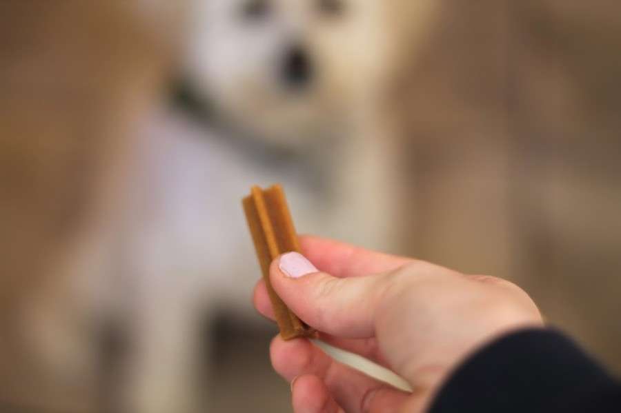 Pedigree food and treats Pedigree food and treats