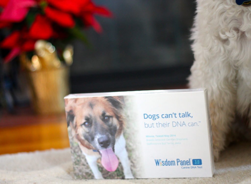 Wisdom-dog-dna-test