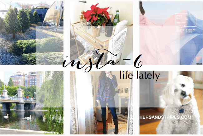 life-lately-instagram-update