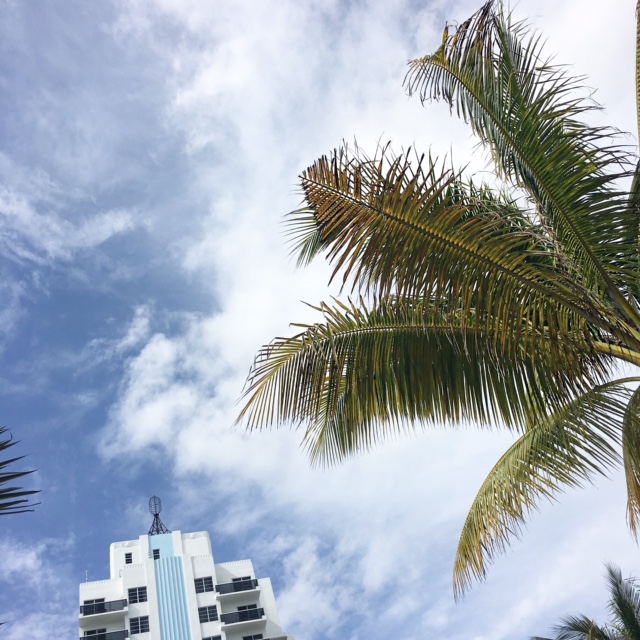Miami sun