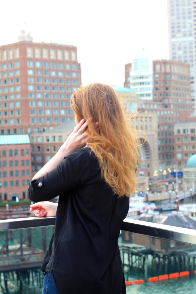 Boston skyline views