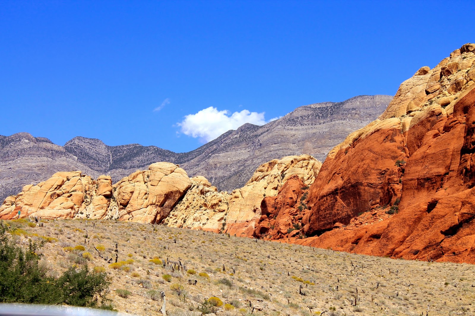 Red Rock Canyon // feathersandstripes.com