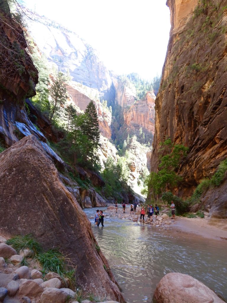 hiking The Narrows in Zion National Park // feathersandstripes.com