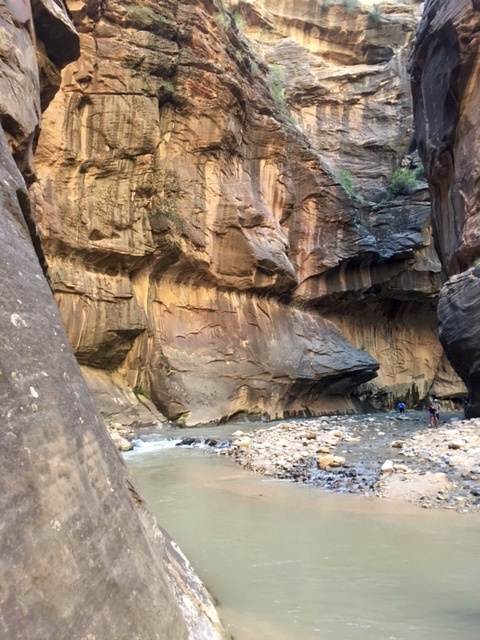 hiking The Narrows at Zion National Park // feathersandstripes.com