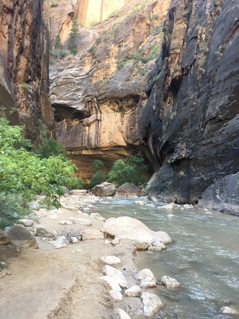 hiking The Narrows at Zion National Park // feathersandstripes.com