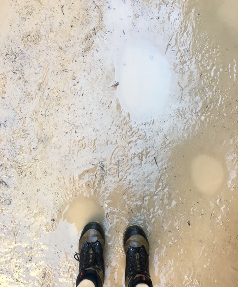 hiking The Narrows at Zion National Park // feathersandstripes.com