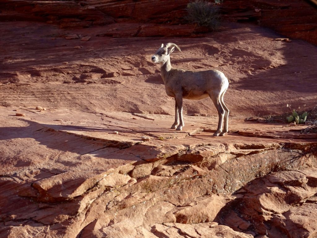 hiking Bryce Canyon // feathersandstripes.com