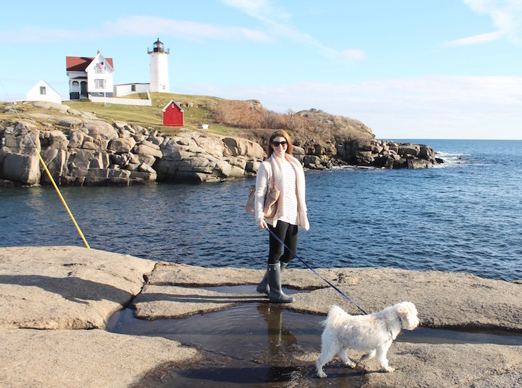 day trip from Boston to Maine - pet-friendly!