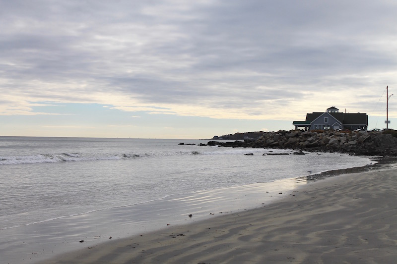 day trip from Boston to Maine - pet-friendly!