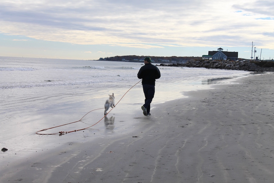 day trip from Boston to Maine - pet-friendly!