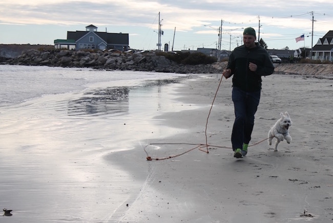 day trip from Boston to Maine - pet-friendly!