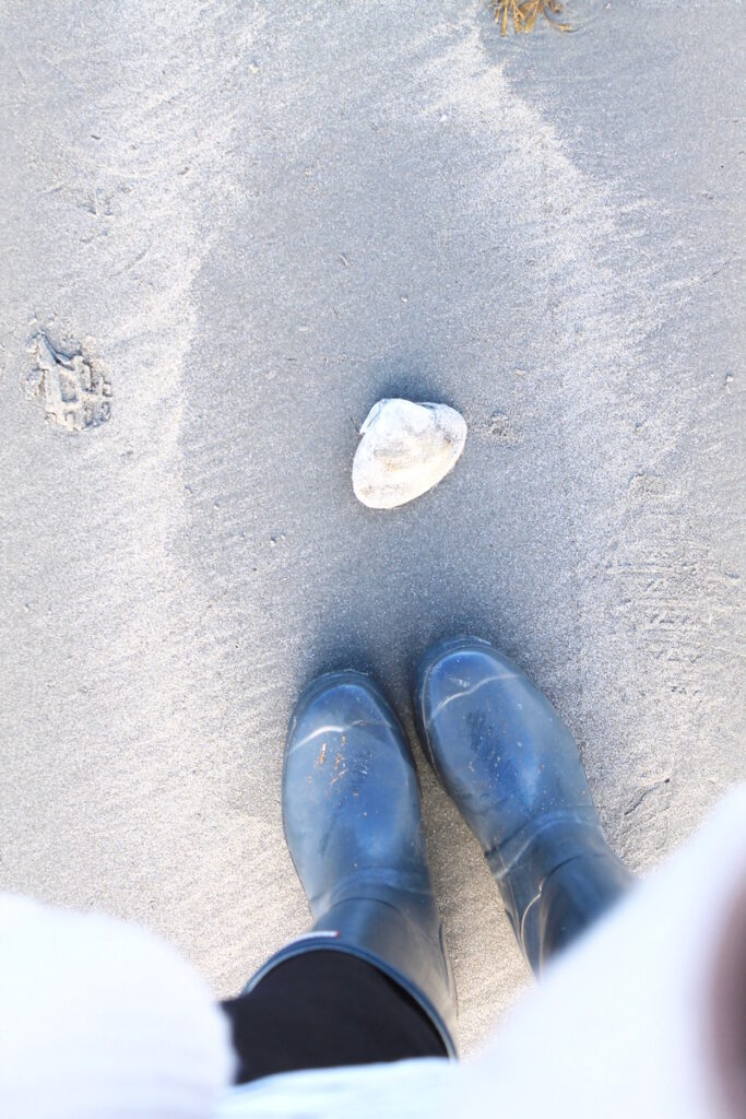 day trip from Boston to Maine - pet-friendly!