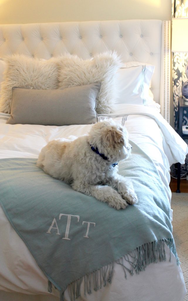 Pottery Barn duvet