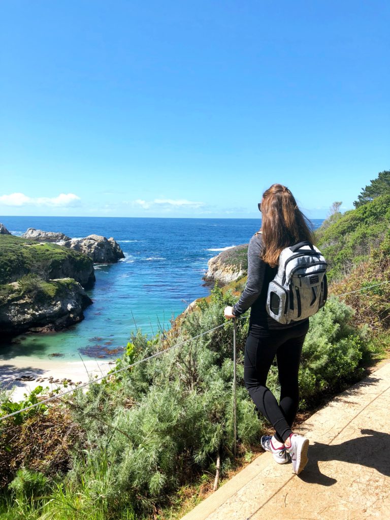 what to do in Monterey - a Monterey travel diary