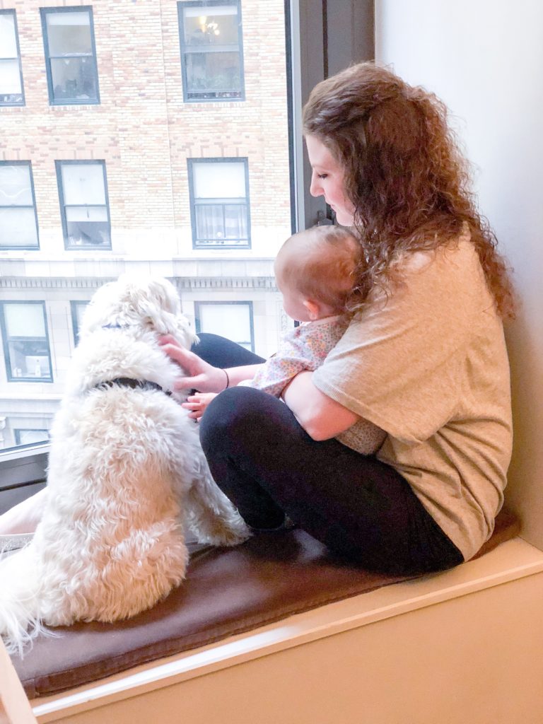 travel to NYC with a baby and a dog! feathersandstripes.com