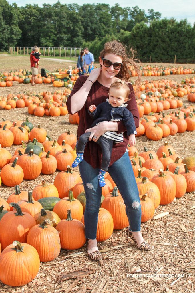 What to wear apple picking in Massachusetts, Parlee Farms apple picking September, pumpkin patch in MA | Nordstrom | ASOS | Amazon | Apple Picking, Pumpkins + the Best Skinny Jeans Everyone Asks About featured by popular Boston life and style blogger Feathers and Stripes