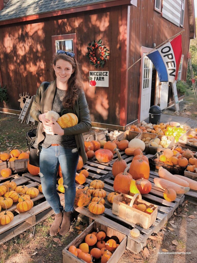 where to go apple picking in Central Massachusetts | pumpkin picking in MA | Greater Boston apple picking | feathersandstripes.com | Farm Hopping featured by top Boston lifestyle blog Feathers and Stripes