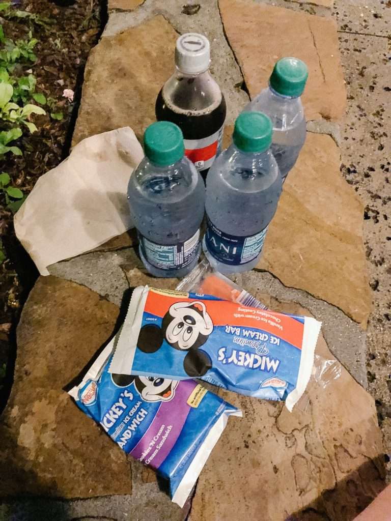 Disney After Hours Hollywood Studios at Walt Disney World: What is it and is it worth it?