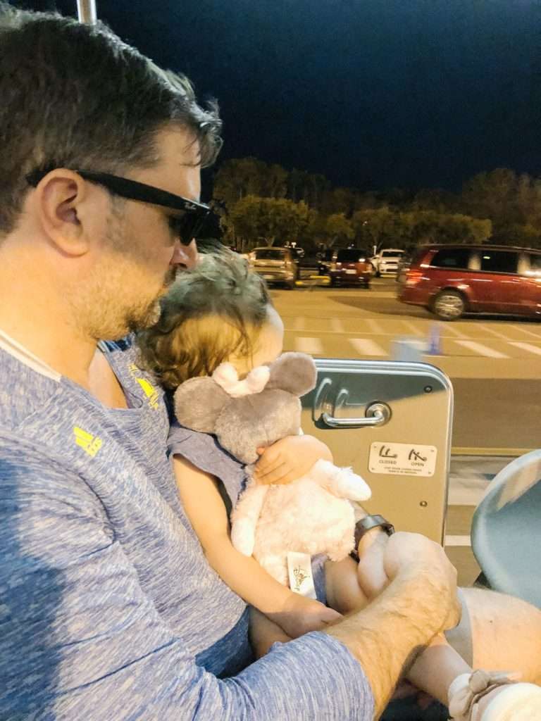 Visiting Disney World with a Toddler: Tips, Tricks, and Our Mantra for the trip from mom- and travel-blogger Alyssa (feathersandstripes.com)