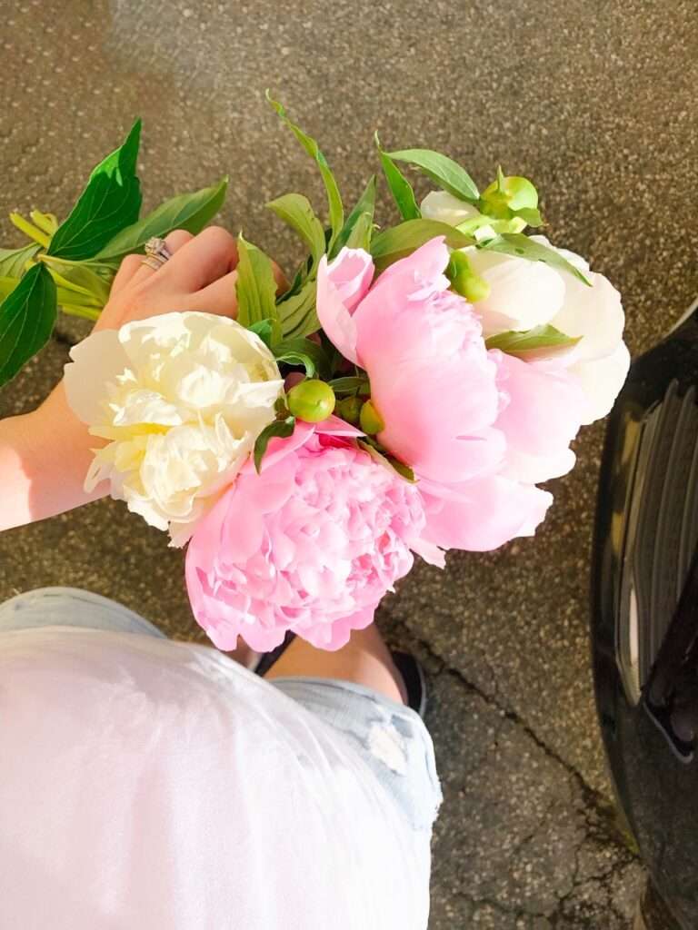 6 Things I Loved This Week (peony season!)