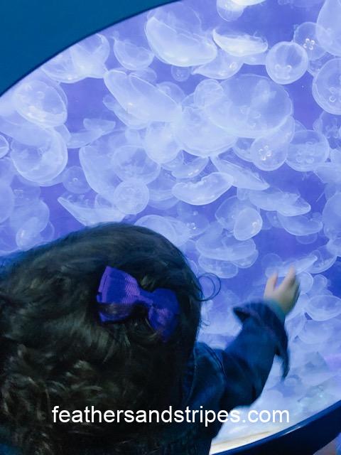 Chicago with a Toddler: What to do, where to stay, and how kid friendly IS Chicago?