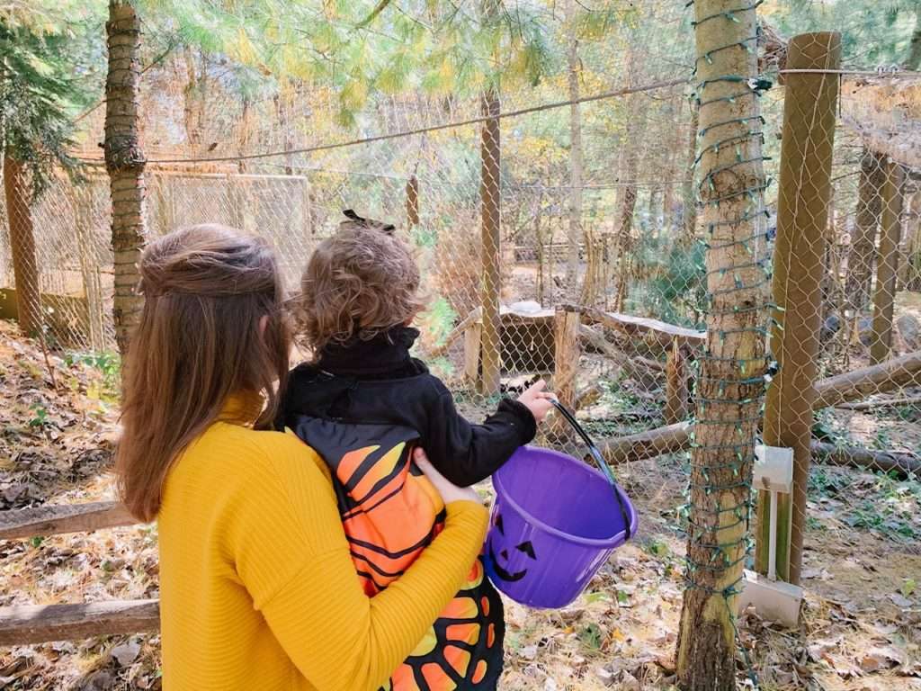 Boston mom blogger Alyssa shares their weekend at Stone Zoo and about saving for college with MEFA and Fidelity