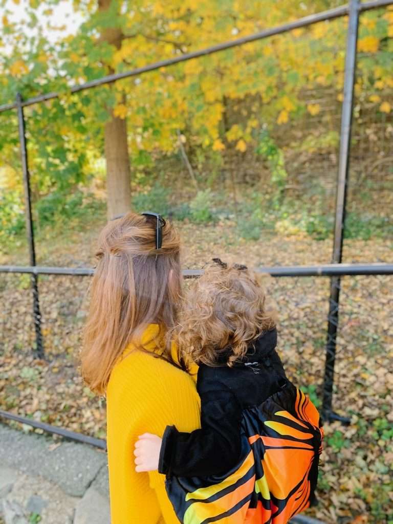 Boston mom blogger Alyssa shares their weekend at Stone Zoo and about saving for college with MEFA and Fidelity