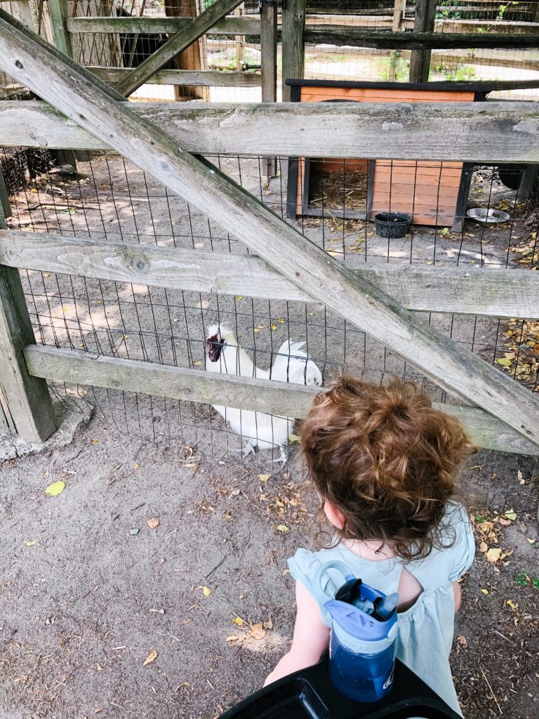 Zoo-New-England-Stoneham-MA