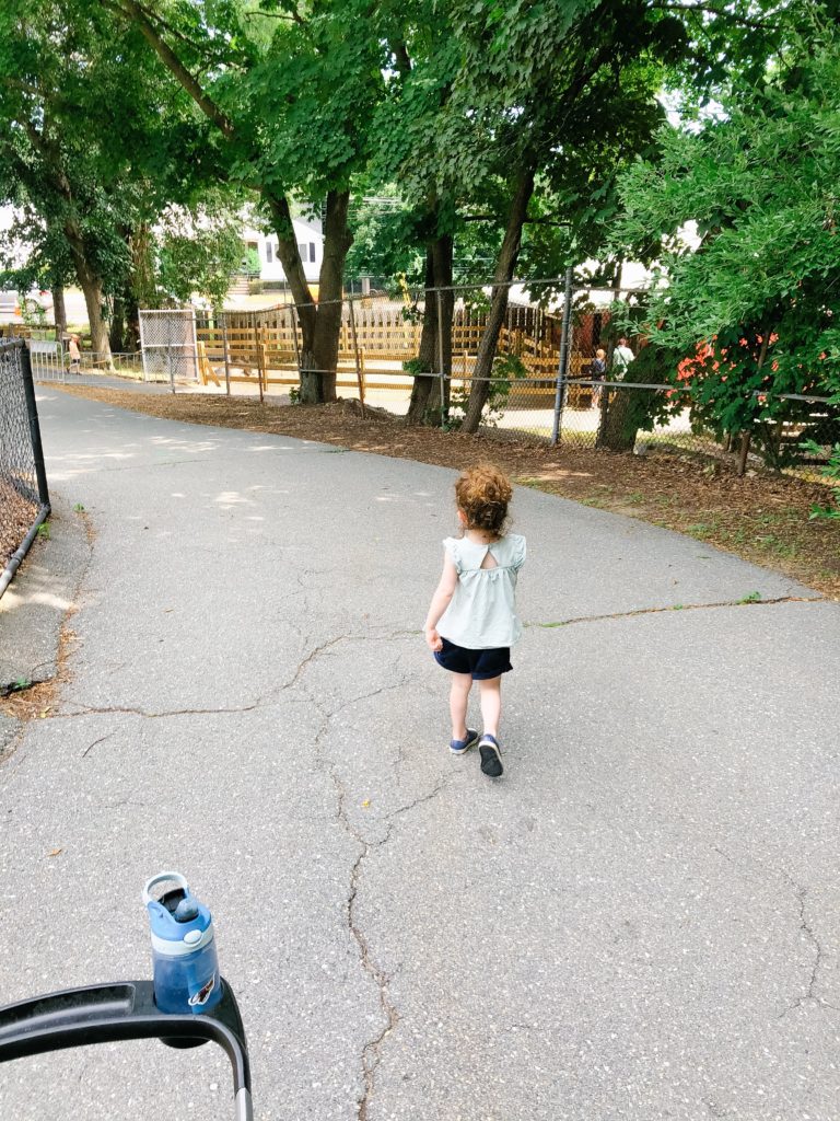 zoo-new-england-visit