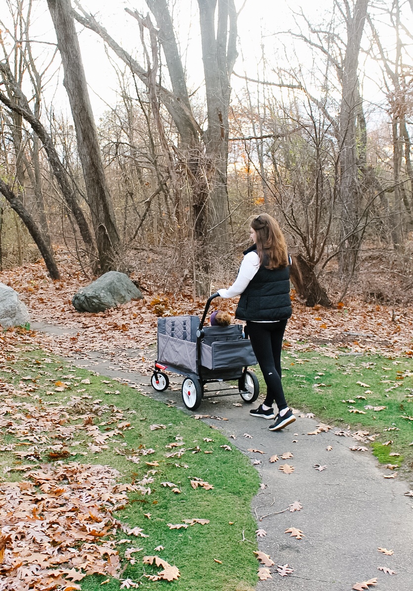 Radio Flyer stroller wagon review