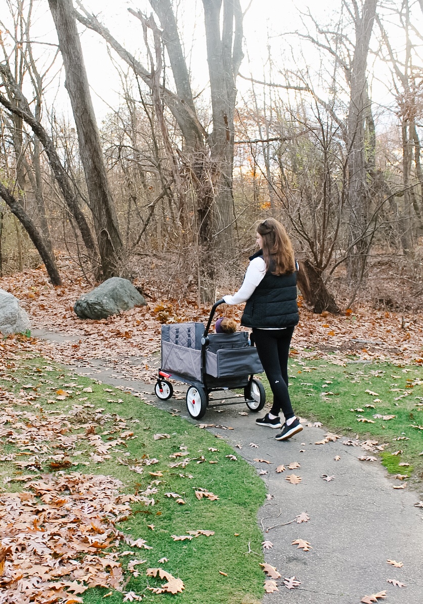 radio-flyer-stroller-wagon